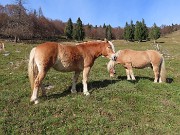 47 Ci guarda mentre andiamo